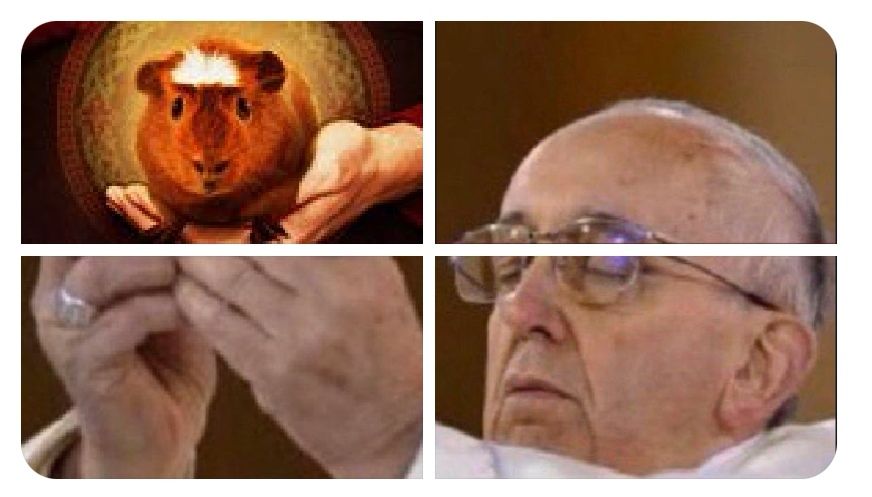 Meme Papa Francisco raton
