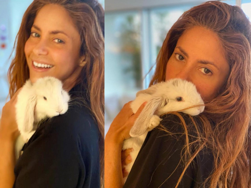 Shakira presenta al nuevo integrante de su familia