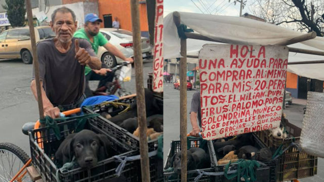 Abuelito sale en un triciclo a pedir comida para sus 20 perritos
