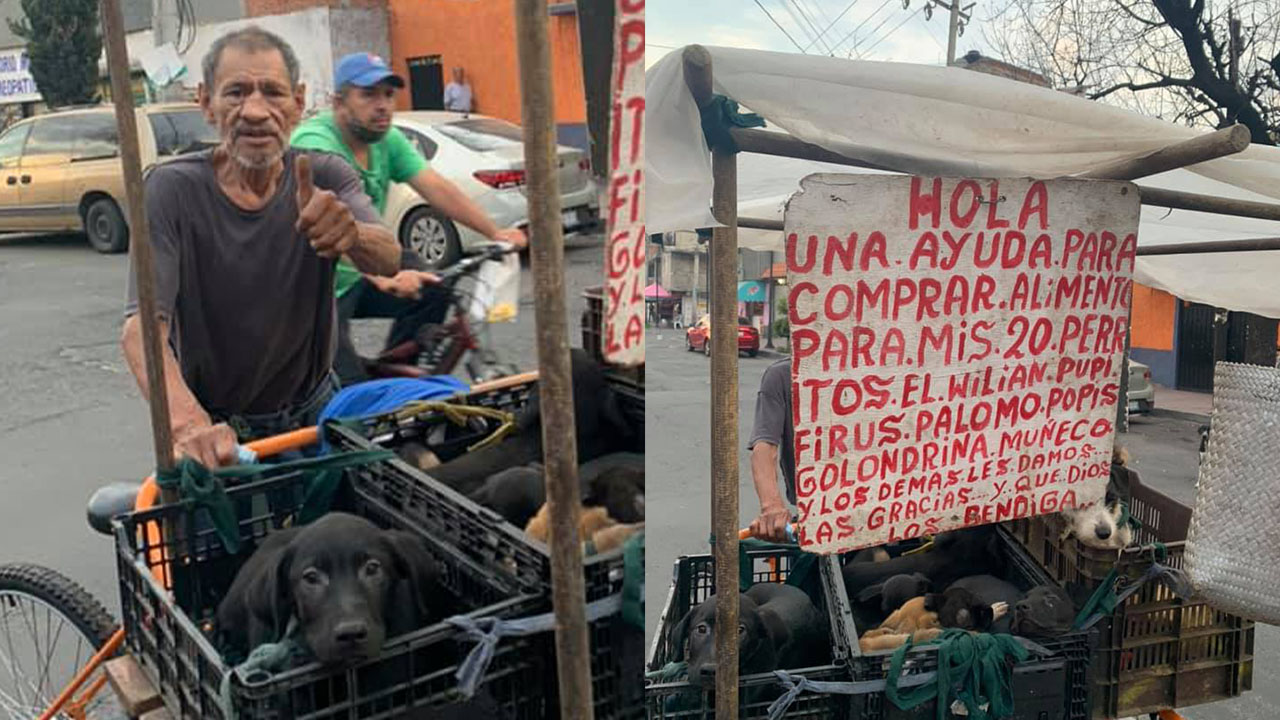 Abuelito sale en un triciclo a pedir comida para sus 20 perritos