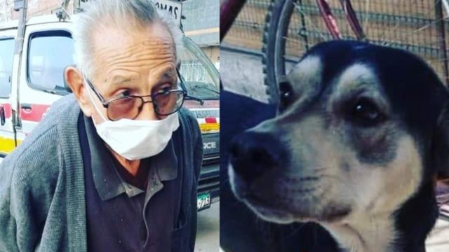 Abuelo de 84 años busca perro perdido