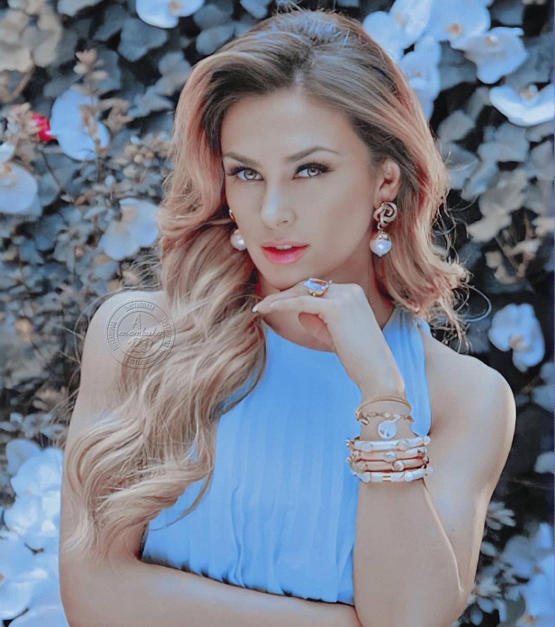Aracely Arámbula podría iniciar demanda contra Luis Miguel, advierte Roberto Palazuelos