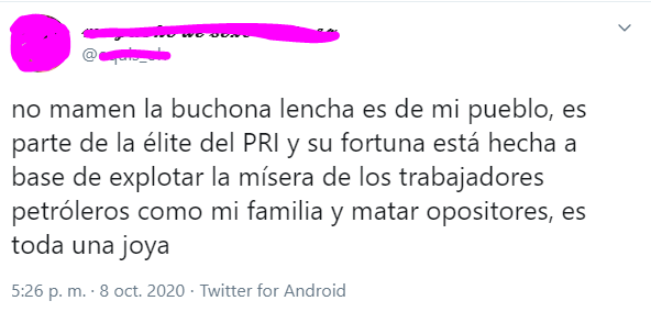 Damara Gómez la buchona de tik tok que pertenece al PRI