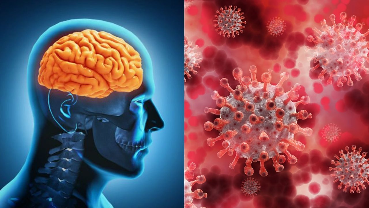 Pacientes con covid podrian tener daños en el cerebro