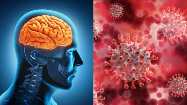 Pacientes con covid podrian tener daños en el cerebro