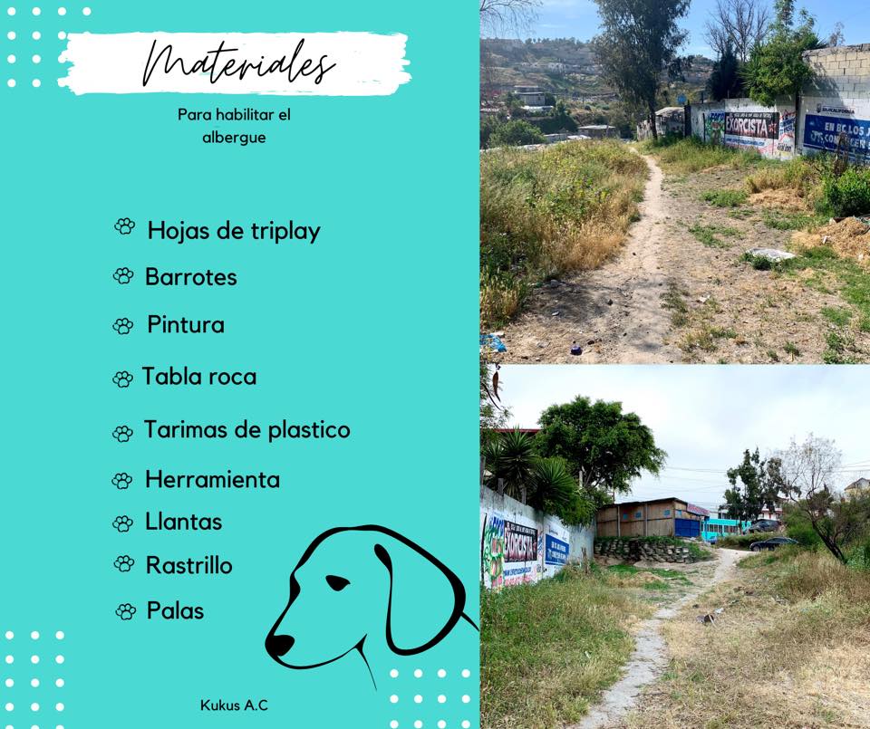 Crean albergue para perros callejeros en Tijuana
