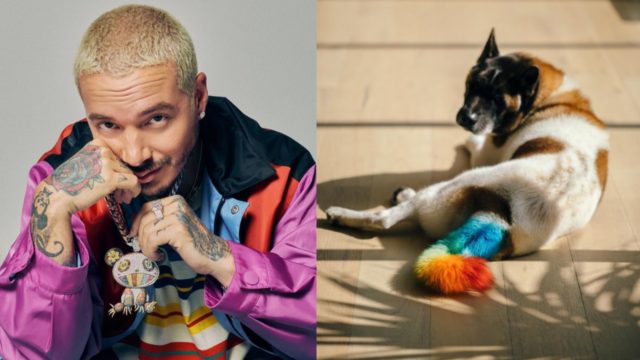 J Balvin y su perro