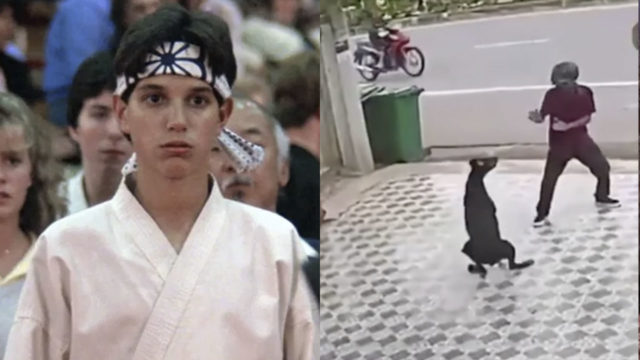 Hombre se salva de ataque de perros por su obsesión con Karate Kid