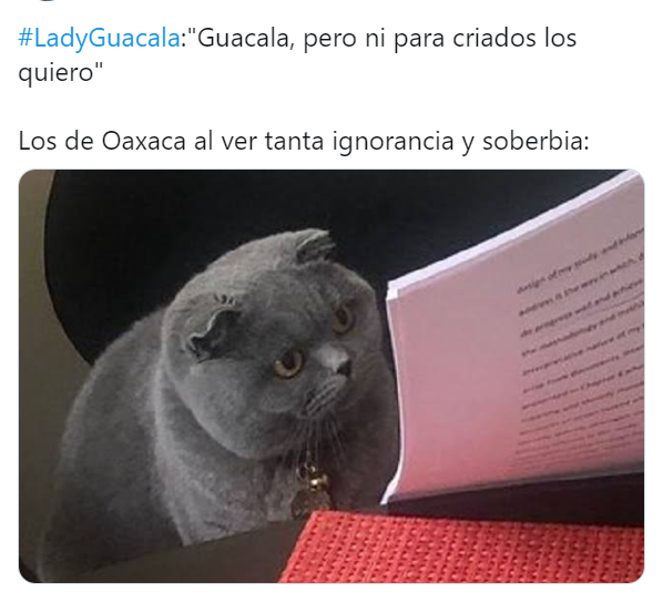Lady Guácala provoca comentarios en Twitter tras discriminar a hombres de Oaxaca