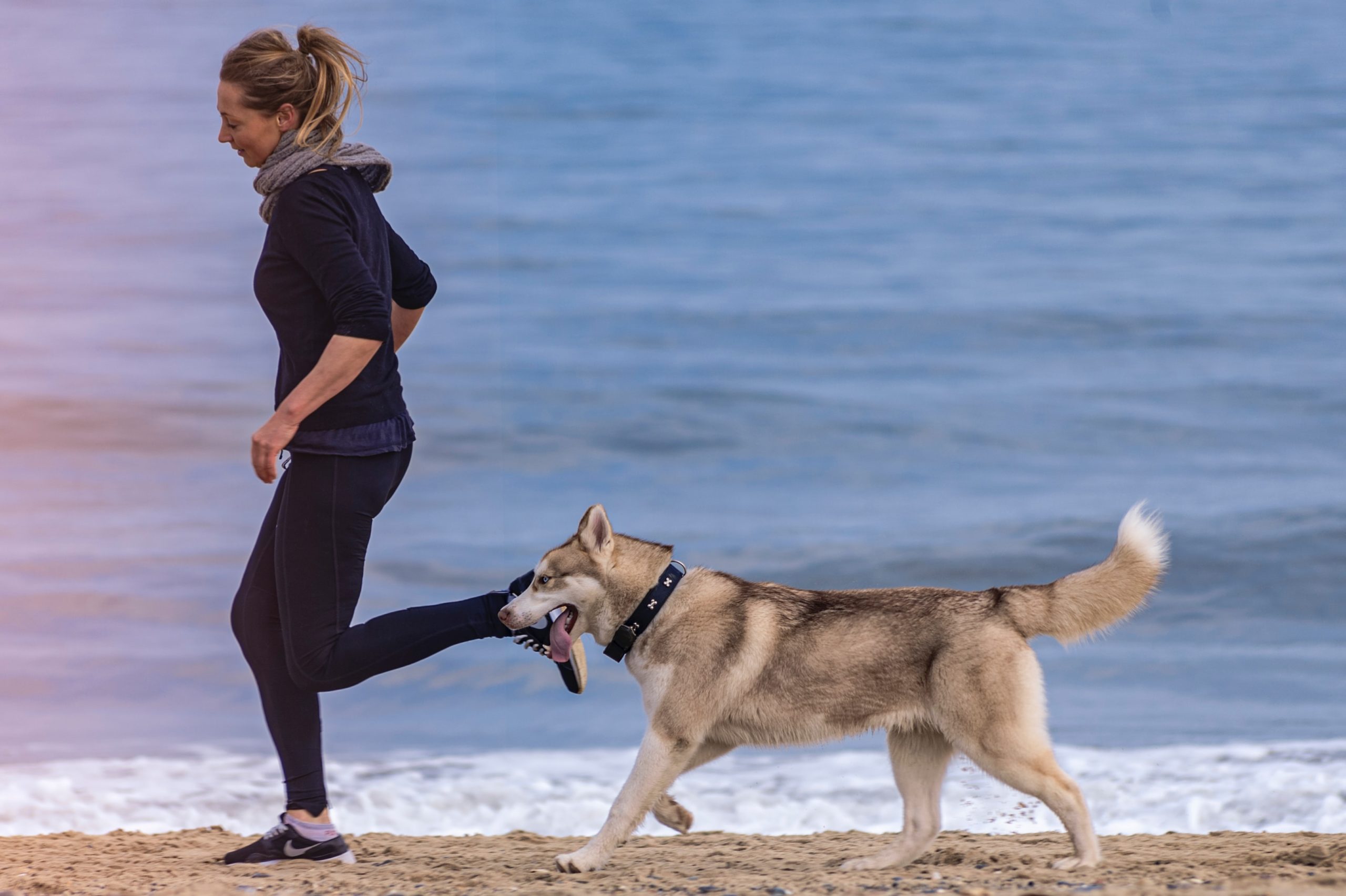 Mujer haciendo ejercicio con perro