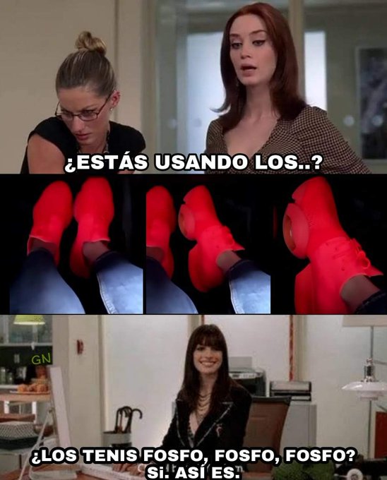 fosfo fosfo memes de mariana rodriguez