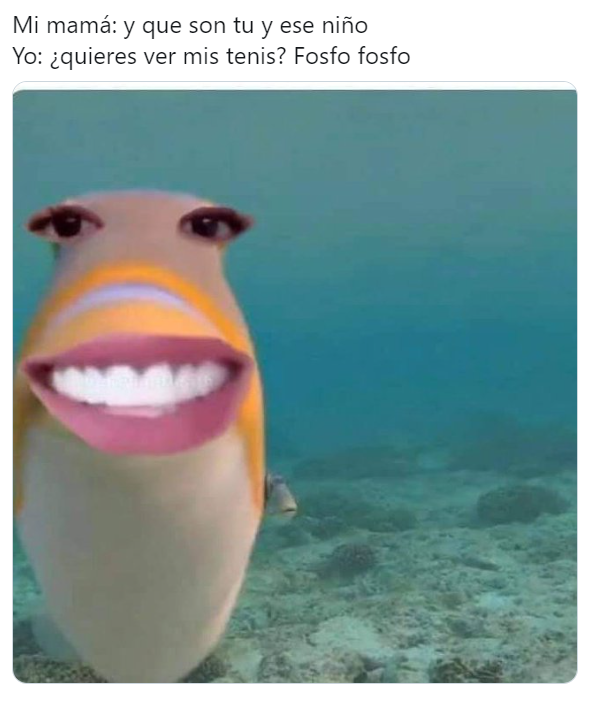Memes fosfo fosfo de mariana rodriguez