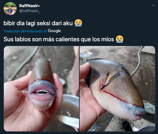 Pez con dientes y labios de humano
