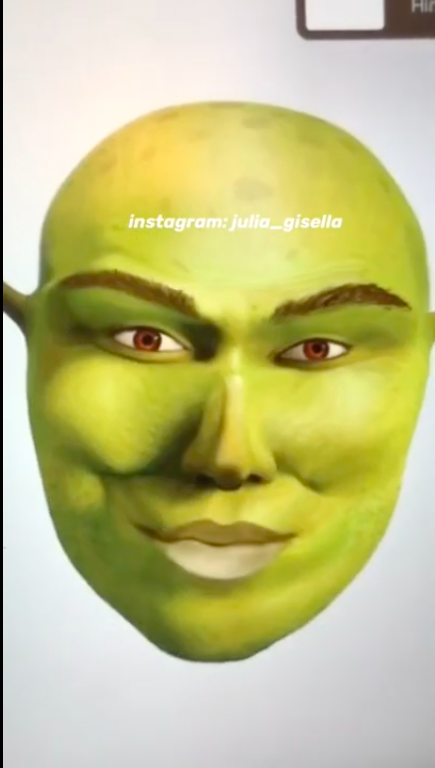 Una talentosa diseñadora decidió cambiar la cara de Shrek a través de Photoshop para hacerlo ver más guapo y de proporciones perfectas.