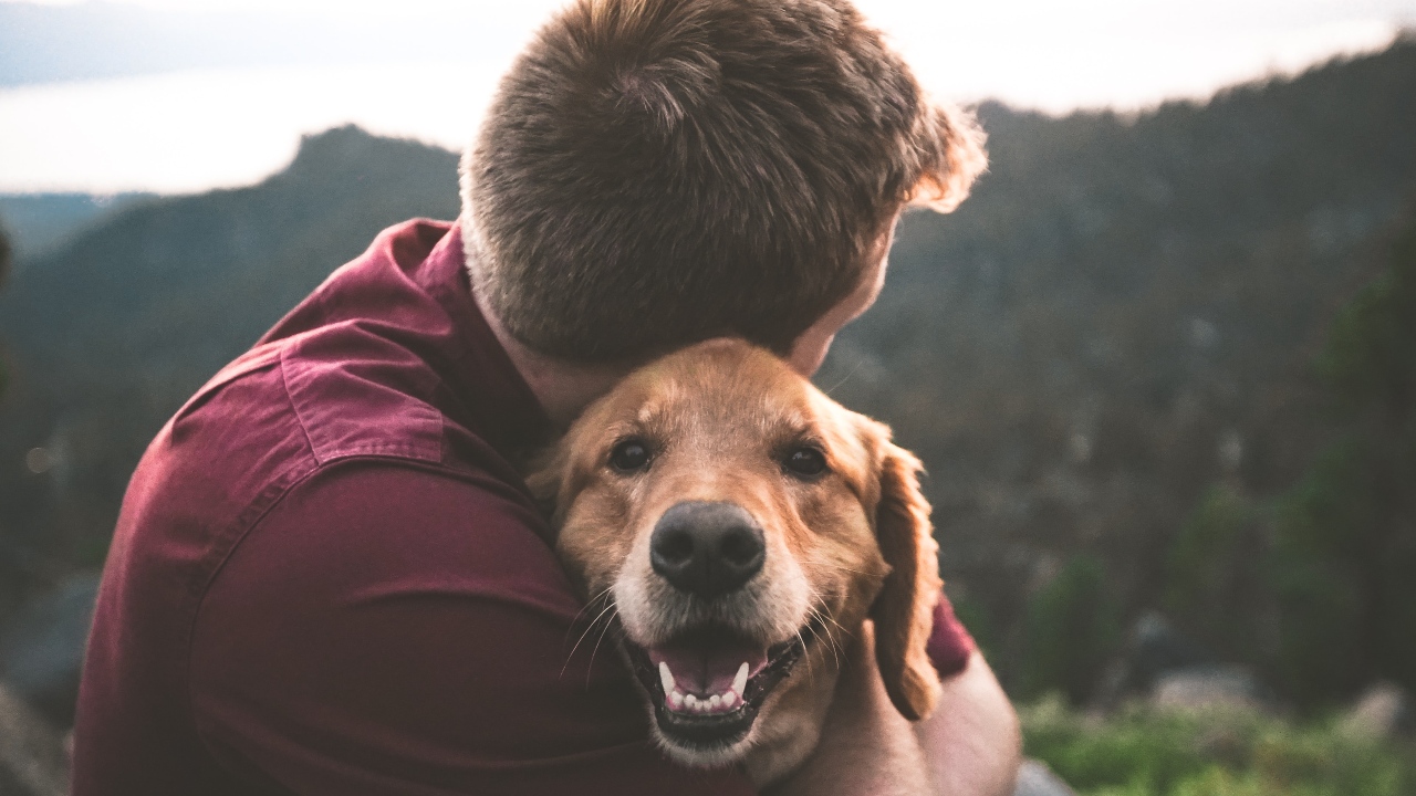 Perro con su dueño