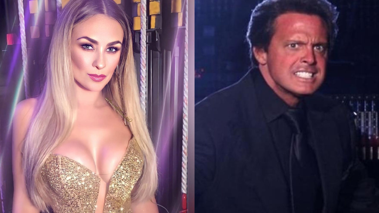 Aracely Arambula planea demanda a Luis Miguel