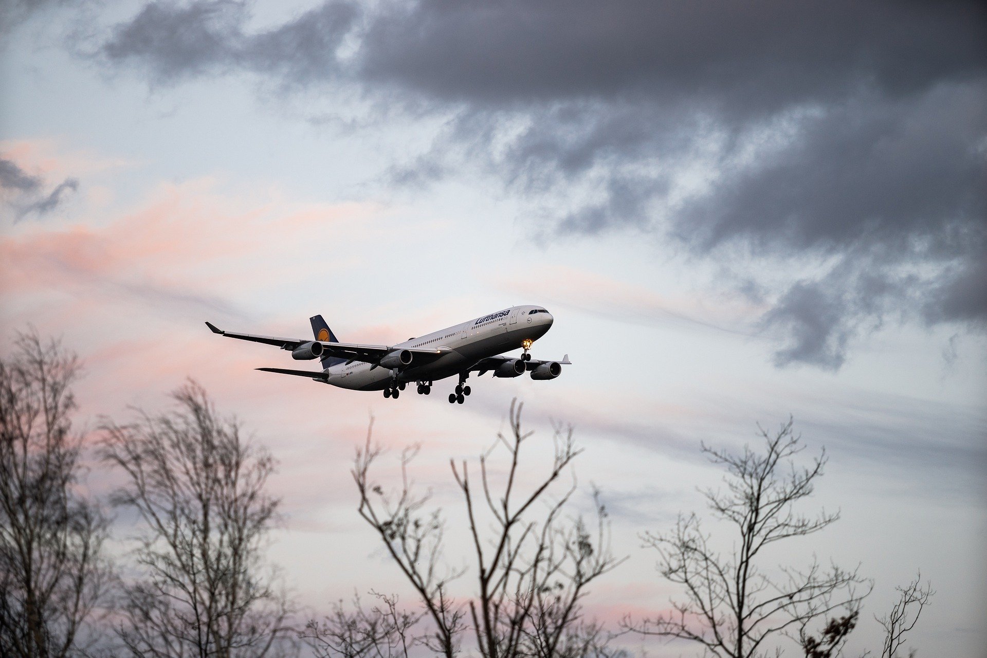 Prepárate para tu próximo viaje con estas ofertas del Buen Fin 2020
