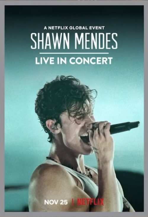 Póster concierto shawn mendes netflix