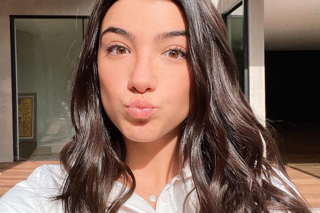 Seguidores Charli D'Amelio en instagram y Tiktok