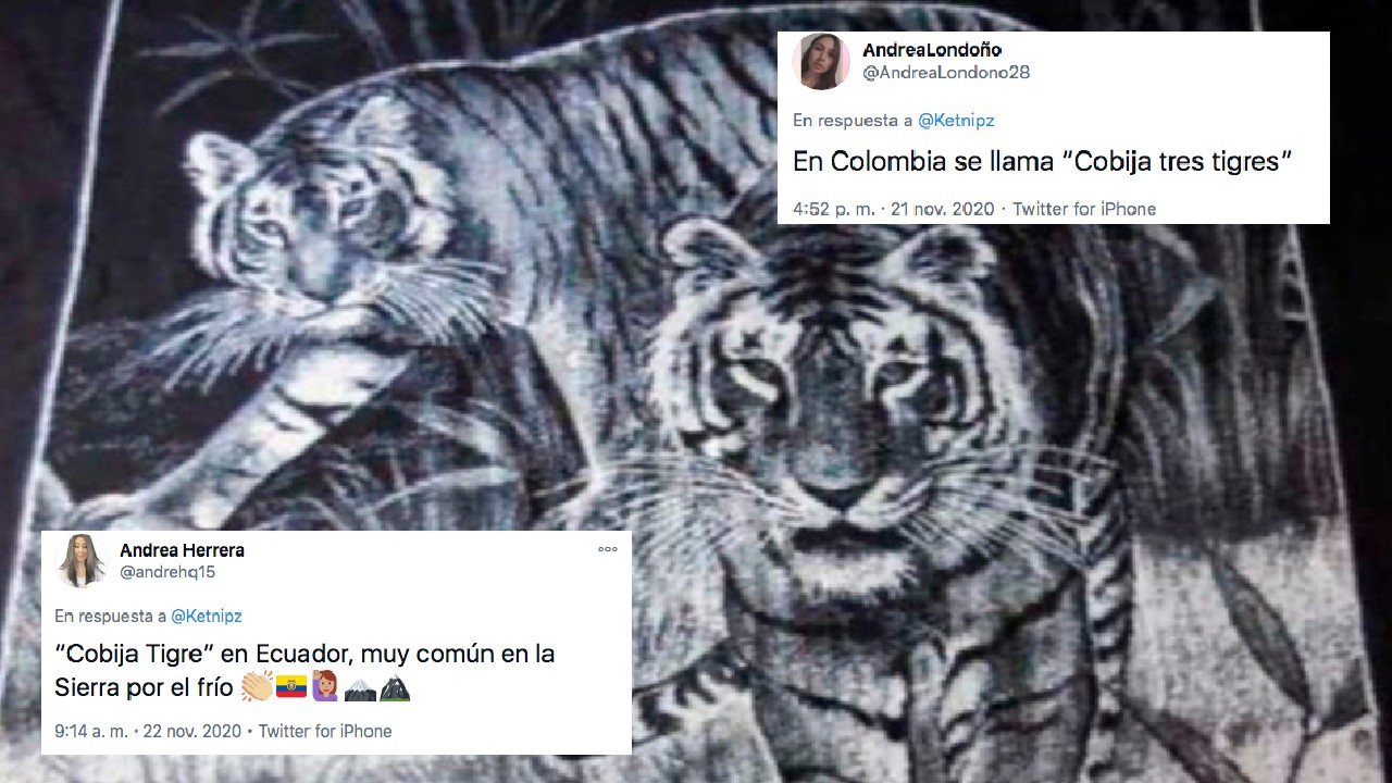 Cobija de tigres es famosa en latinoamérica