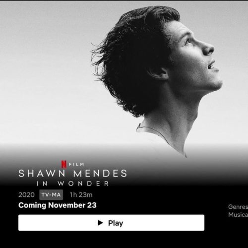 Documental de Shawn mendes