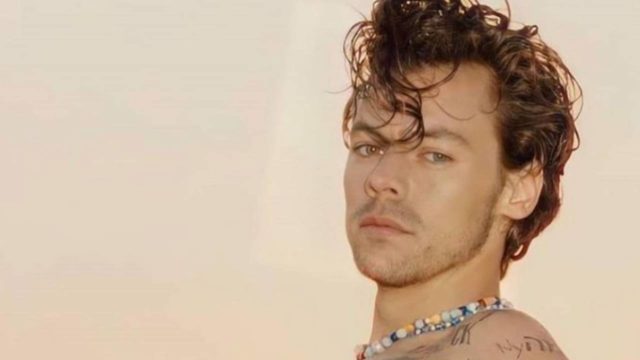 Harry Styles es el primer hombre en la portada de Vogue con vestido