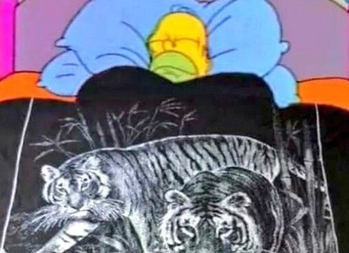 Homero Simpson con su cobijita de tigre