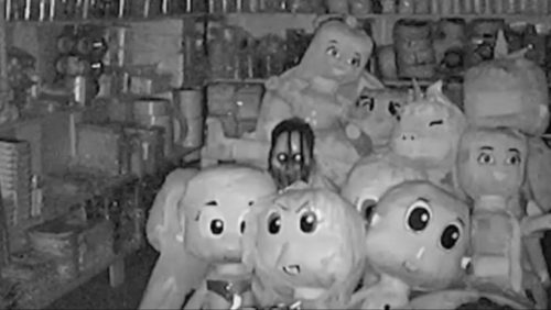 Imagen perturbadora casa de mario Dross