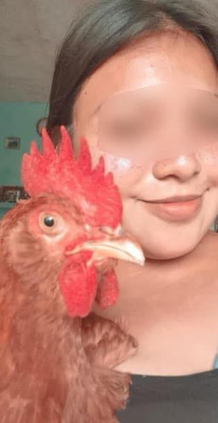  Joven Mujer pide ayuda para encontrar a su gallo perdido