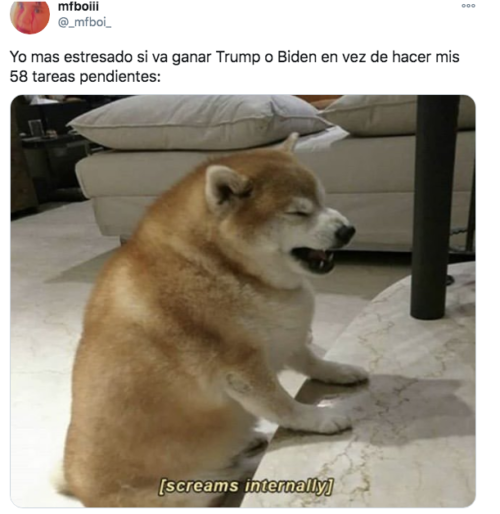 Meme perrito cheems estresado