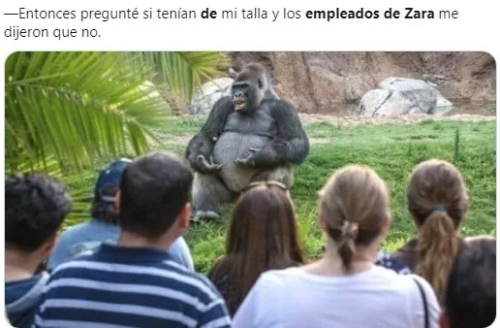 Meme de tallas grandes en Zara