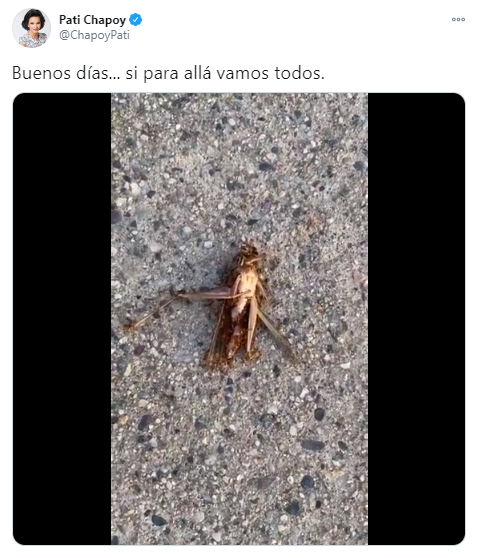 Pati Chapoy criticada por video relacionado con Magda Rodriguez