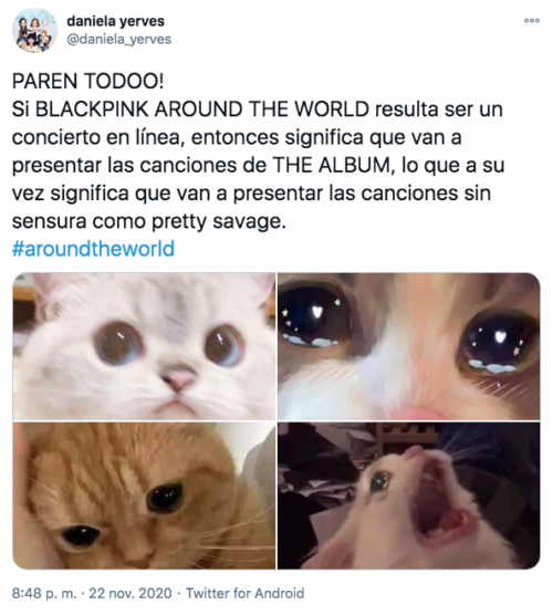 Tuit Blink Around the world