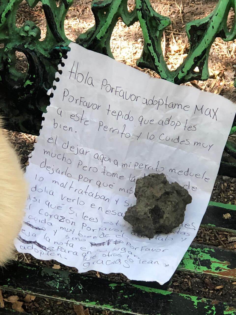 Perro es abandonado en una banca de la CDMx