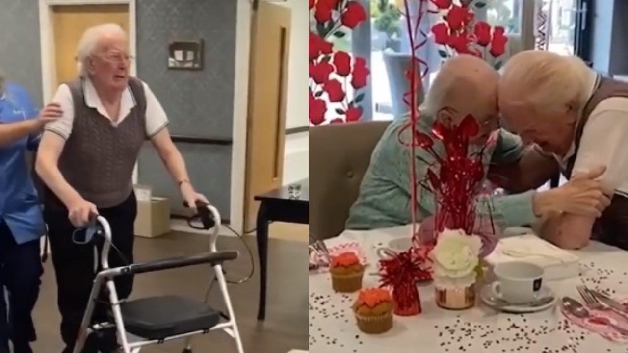 Abuelos lloran cuando se reúnen