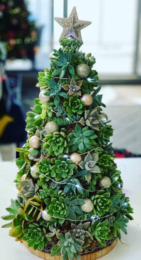 Árbol de Navidad con suculentas