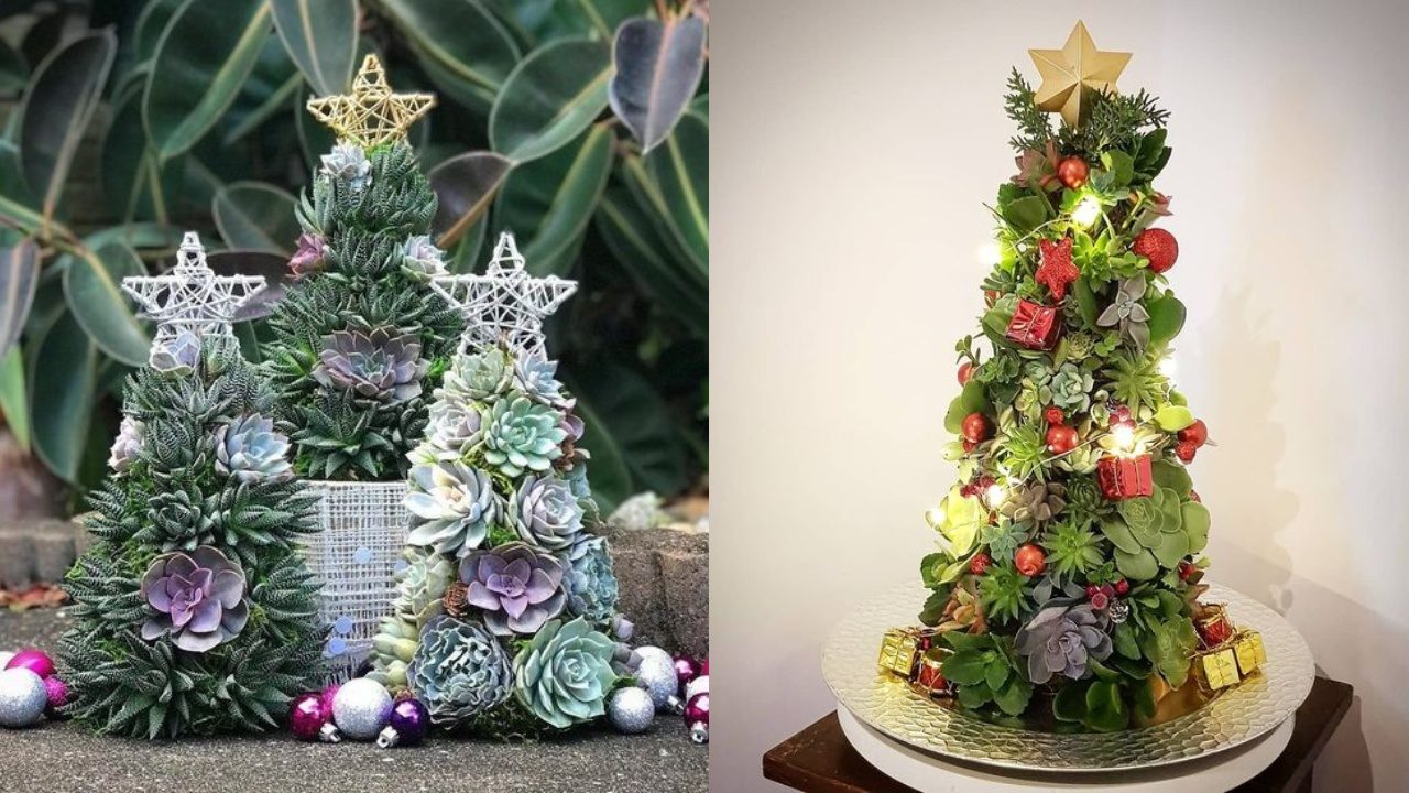 Árbol de Navidad con suculentas
