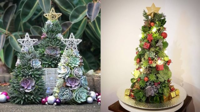 Ãrbol de Navidad con suculentas