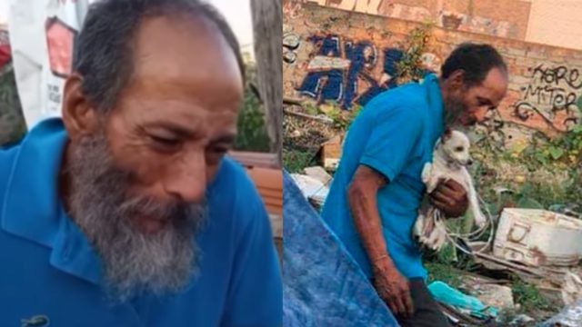 Donan comida envenenada para perros y mueren 17