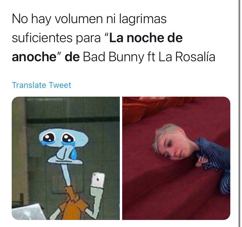 Meme calamardo