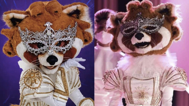 ‘¿Quién es la máscara?’: Aseguran que “Mapache” son dos artistas y revelan pruebas