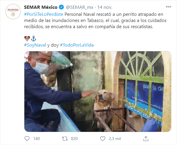 Marina adopta al perro que rescató en inundaciones