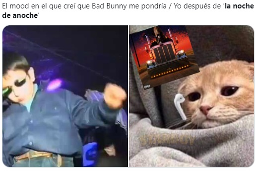 Meme de gatito