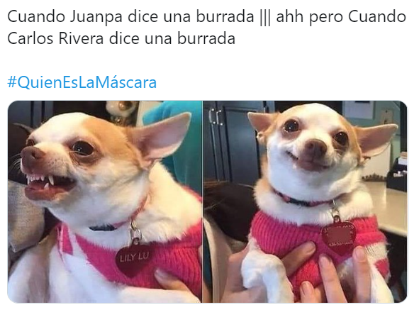 Memes capítulo 6 ¿Quién es la Máscara?
