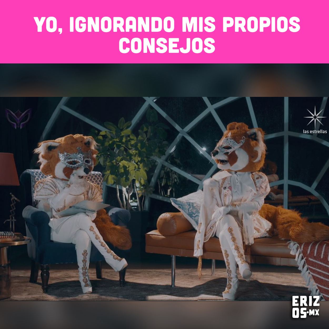 Memes QELM capítulo 8