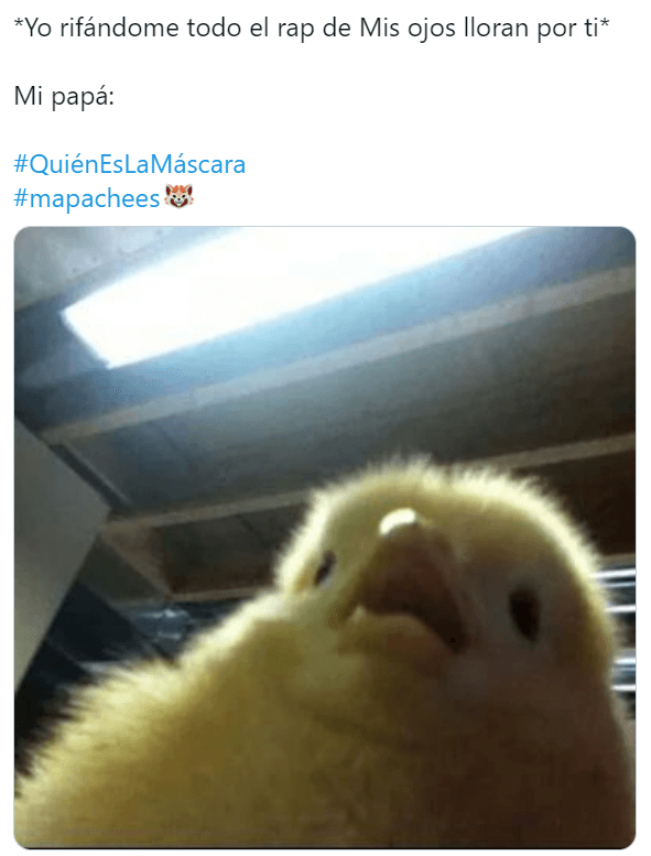 Memes QELM capítulo 8