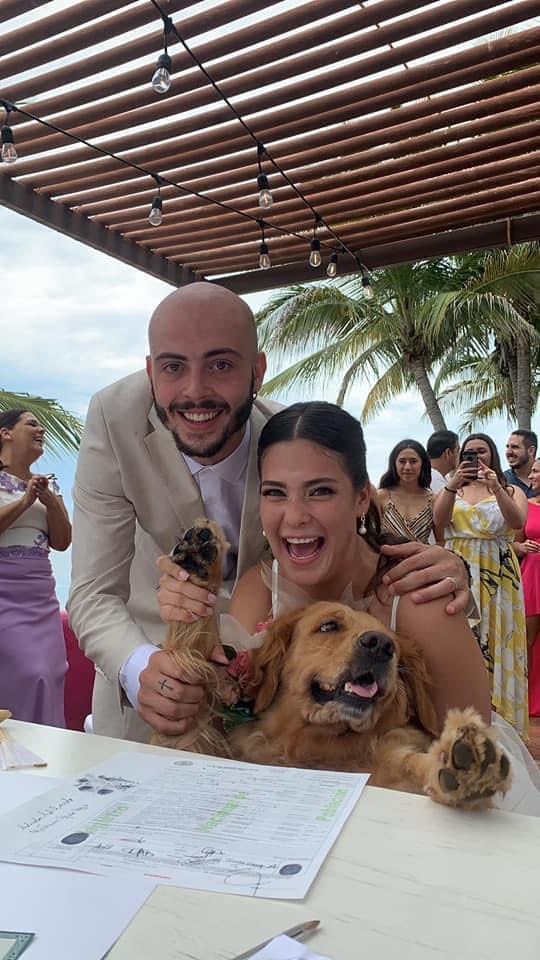 Pareja elige a su perrita como testigo en su boda y enternece al internet
