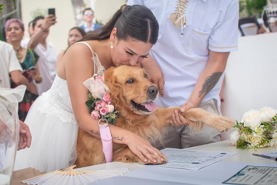 Pareja elige a su perrita como testigo en su boda y enternece al internet