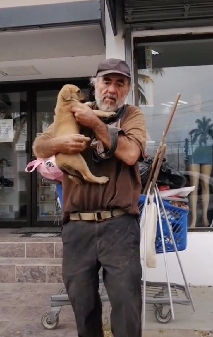 Don Manuel, el viejito en situación de calle que perdió a su perrita