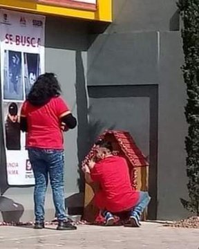 Empleados del Oxxo construyendo casa para perro